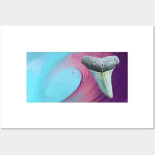Pink Wave Shark Tooth Fossil  Surf Print Posters and Art